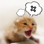 更年期障害「イライラ」の症状・原因・ケア対策