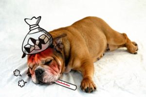 更年期障害「ホットフラッシュ」の症状・原因・ケア対策