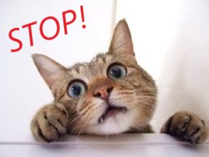 更年期障害で退職を考えている人はちょっと待って！！