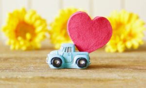 韓流スターにあえてはまる！韓国ドラマで脳を活性化させてホルモンアップ生活を！