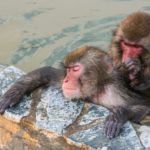 更年期症状の緩和にはやっぱりお風呂!入浴で副交感神経をはたらかせて自律神経を整えましょう