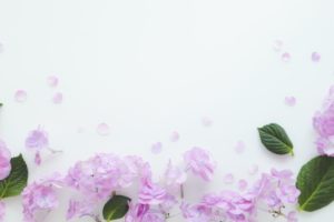 「ヒルナンデス！」で紹介された梅雨時期対策の便利グッズ13選！